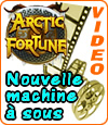 machine à sous Artic Fortune