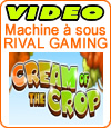 machine à sous Cream of the Crop