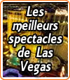 Les meilleurs spectacles de Las Vegas à ne pas louper.