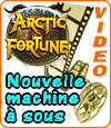 Arctic Fortune, machine à sous de Microgaming.