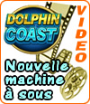 Dolphin Coast, une machine à sous complète de Microgaming.