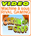 Cream of the Crop, démo et notre avis sur ce slot de marque Rival.