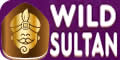 Wild Sultan Casino en ligne.