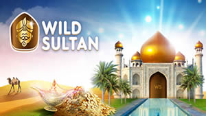 Wild Sultan Casino.
