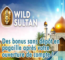 Wild Sultan Casino.